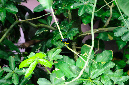 DSC_1577